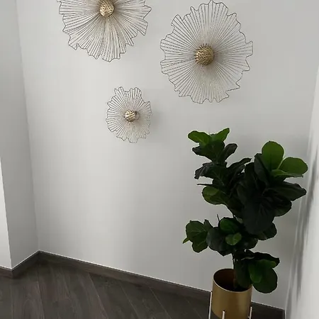 New Gardens *